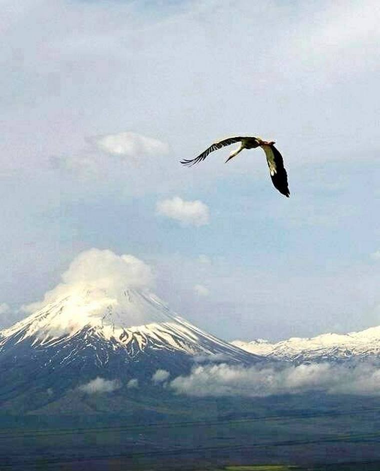 великолепная природа армянского нагорья/Попалось на глаза фото, автор которого Сурен Менвелян - И никакие слова не нужны